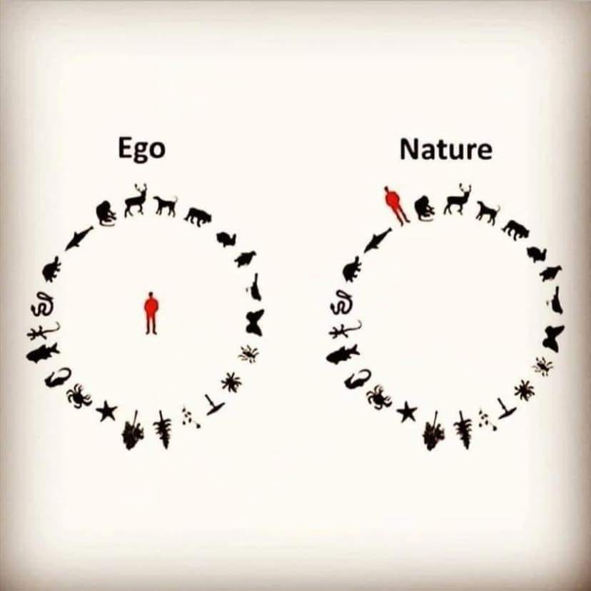 This meme is a visual representation of the relationship between ego and nature. The image shows a person (Ego) at the center, surrounded by various animals and objects, which are connected to the person. The text "Ego" is above the person, and "Nature" is above a separate circle of animals and objects, which are connected to it. The idea is that the person's ego is separate from and connected to the natural world, but also connected to it through various animals and objects.
